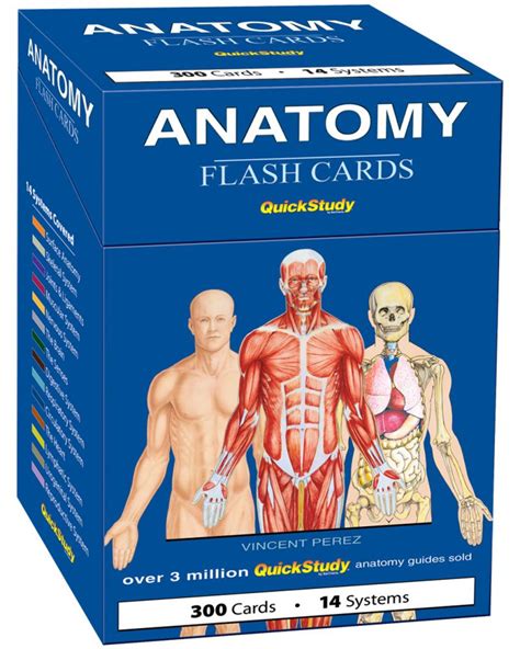 Making your own anatomy flashcards can be a really effective way to study and memorize anatomy terms and structures. In fact, pretty much every major anatomy atlas publisher has released their own flashcards to help students study anatomy but this can be quite expensive. 